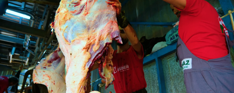 Kurban Kesim Hizmeti